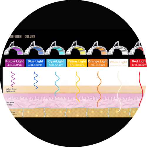 PDT Led Light Therapy Machine - Image 4