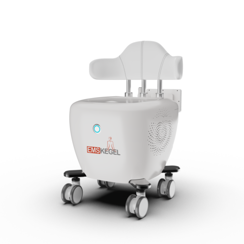 Portable EMS+RF - Image 6